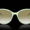 Emporio Armani 0EA4220 61078E Solglasögon