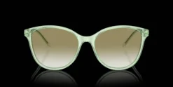 Emporio Armani 0EA4220 61078E Solglasögon