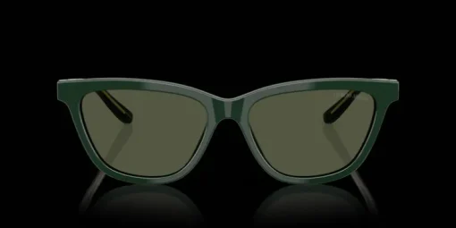 Giorgio Armani 0AR8221 617331 Solglasögon