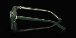 Giorgio Armani 0AR8221 617331 Solglasögon