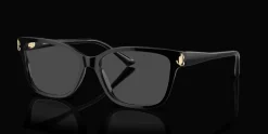 Jimmy Choo 0JC3012 5000 Glasögonbåge