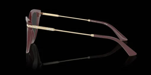 Jimmy Choo 0JC3001B 5018 Glasögonbåge