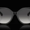 Ralph Lauren 0RL8220 50018G Solglasögon