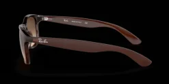 Ray-Ban Andy RB4202 607313 Solglasögon