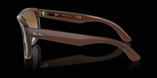 Ray-Ban Boyfriend Reverse RBR0501S 6709CB Solglasögon