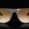 Ray-Ban 0RB2215 902/51 Solglasögon