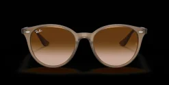 Ray-Ban 0RB4305 616613 Solglasögon