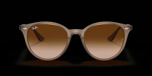 Ray-Ban 0RB4305 616613 Solglasögon