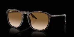 Ray-Ban 0RB2203 902/51 Solglasögon