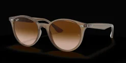 Ray-Ban 0RB4305 616613 Solglasögon