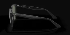 Ray-Ban 0RB4306 60171 Solglasögon