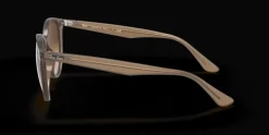 Ray-Ban 0RB4305 616613 Solglasögon