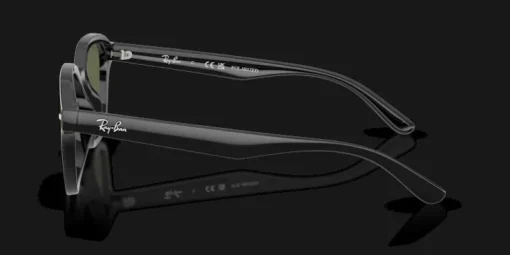 Ray-Ban 0RB4458D 601/9A Solglasögon