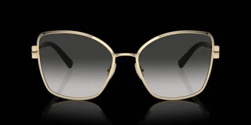 Tiffany & Co. 0TF3102B 60213C Solglasögon